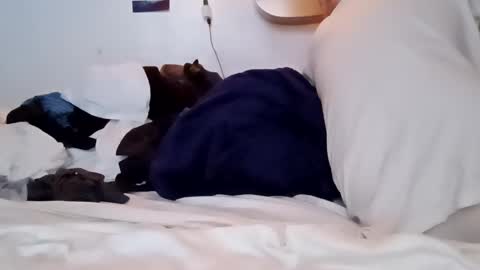 Noah Wesley online show from 01.18.25