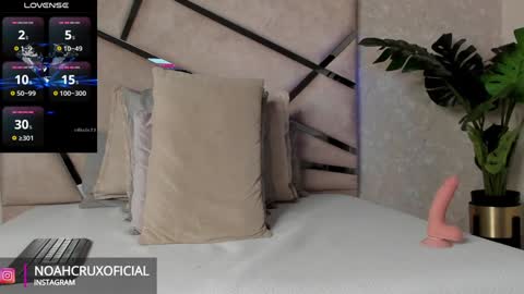 Noah online show from 01.11.25