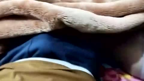 Snapshot of nooby942461 chatting on 01.12.26 sim nib online show from 01.12.26