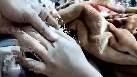 Snapshot of nooby942461 chatting on 02.01.26 sim nib online show from 02.01.26