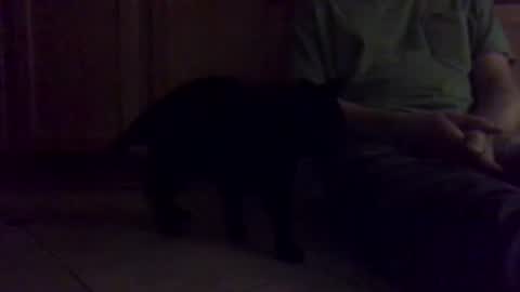 Snapshot of noodlekids chatting on 01.16.26 Noodles online show from 01.16.26