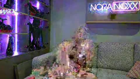 NoraNoxx online show from 06.24.26