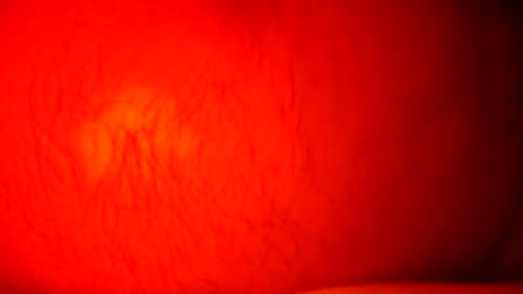 norbitomii online show from 09.24.25