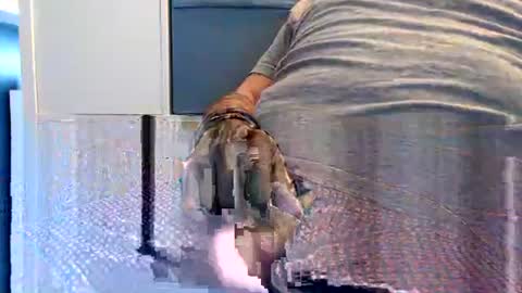 Snapshot of northern376854 chatting on 09.23.25 northerndaddy online show from 09.23.25