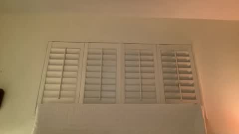 noscandal online show from 11.14.25