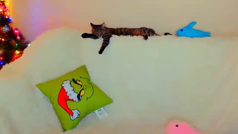 hi glad to chat online show from 12.26.24