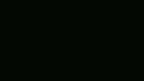 Nova online show from 06.08.26