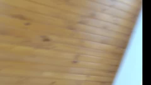 novaperotti online show from 03.12.25