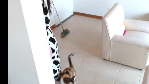 novaperotti online show from 09.14.25