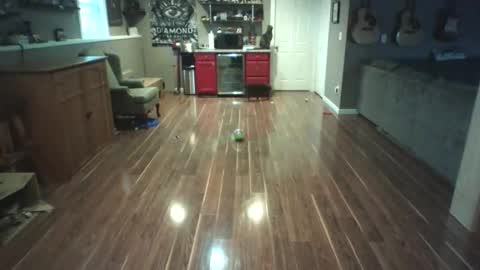 Snapshot of nudistguy194549 chatting on 03.15.26 Nudistguy online show from 03.15.26