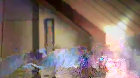 nurod online show from 12.29.24