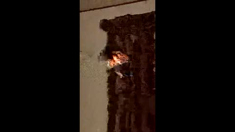 ocnyrmvntufr online show from 06.07.26