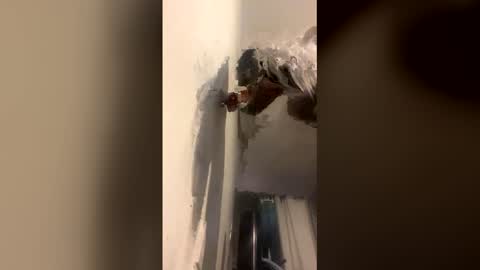 Snapshot of octavia_cd chatting on 12.14.25 Kira online show from 12.14.25