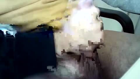 Snapshot of officersex_y chatting on 11.23.25 officersex y online show from 11.23.25
