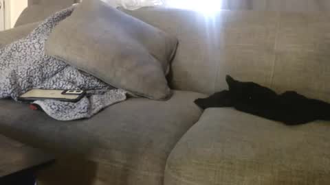 OGDigBick online show from 11.04.25