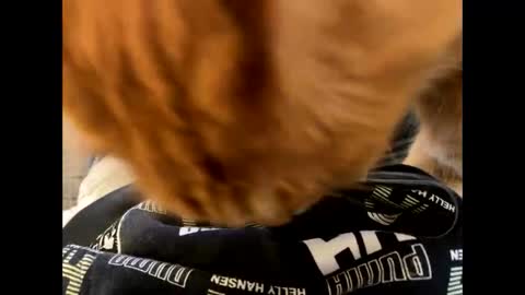 oggs48 online show from 10.21.25