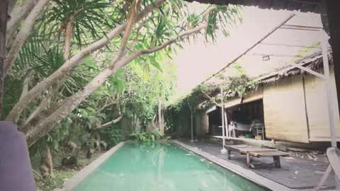 Snapshot of ohmymojo chatting on 11.18.25 Mo online show from 11.18.25