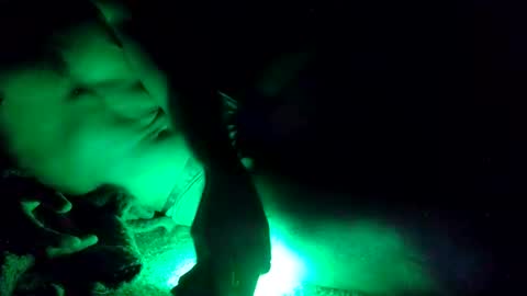 Snapshot of oibrev49 chatting on 03.21.26 oibrev49 online show from 03.21.26