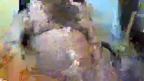 Snapshot of oily27 chatting on 11.02.25 William online show from 11.02.25