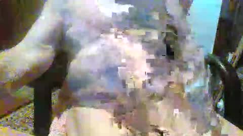 Snapshot of oily27 chatting on 12.14.25 William online show from 12.14.25