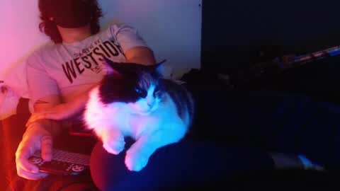 oliver_laid_2023 online show from 12.20.24