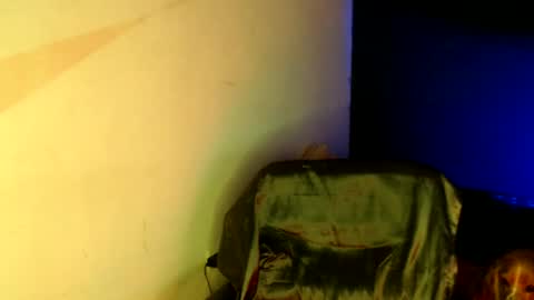 oliver_laid_2023 online show from 01.18.25