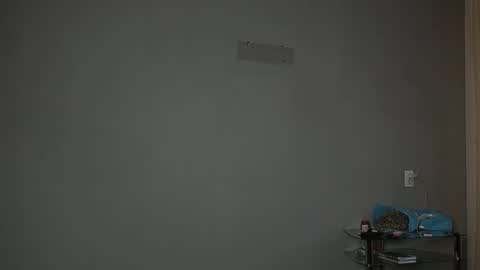 Snapshot of olivia_oliv chatting on 11.24.25 Olivia online show from 11.24.25