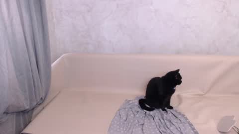 Olivia online show from 10.05.25