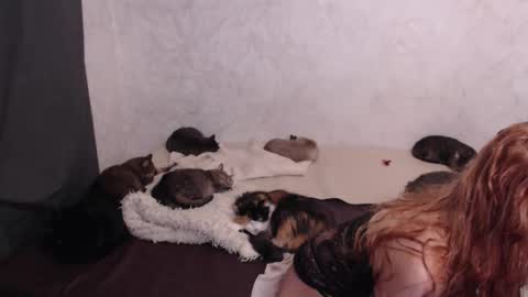 Olivia online show from 01.13.26