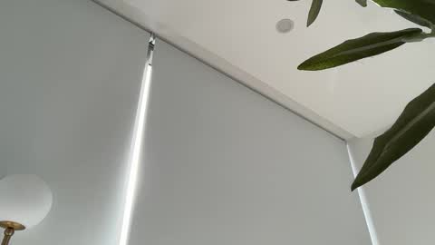 Olivia Brookes online show from 11.27.25