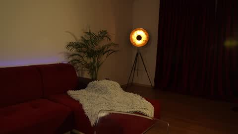    or    online show from 01.04.25