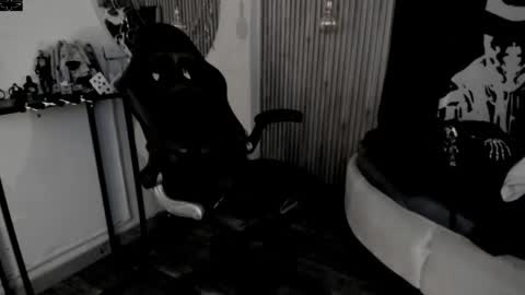     ... online show from 04.30.26