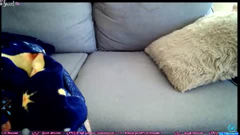  OF - Ooh 69sweet SNAP4LIFE OFFLINE  899 normal  VIP 1369 outside  online show from 06.27.26