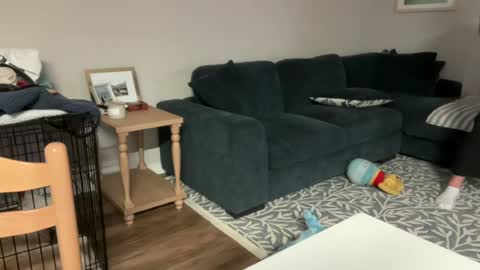 Horny and Bicurious online show from 04.28.26