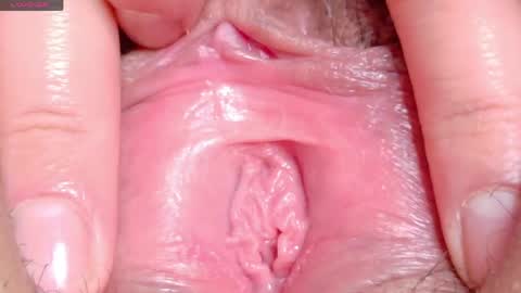 orchidekitty online show from 04.29.26