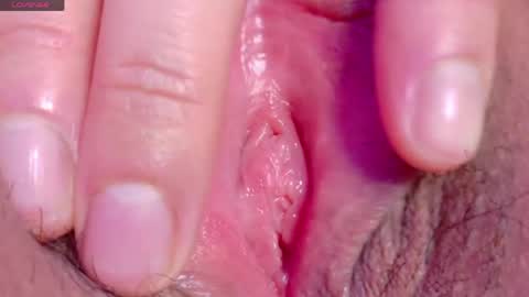orchidekitty online show from 04.30.26