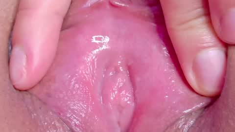orchidekitty online show from 05.02.26