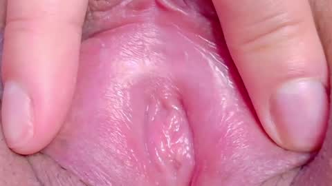 orchidekitty online show from 06.05.26