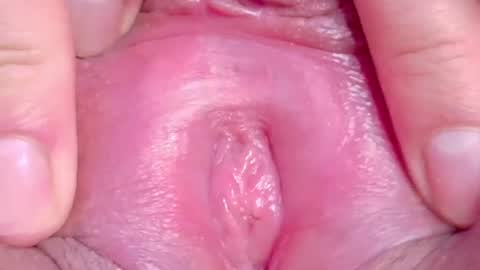 orchidekitty online show from 06.11.26