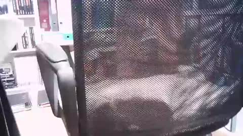 oren online show from 03.01.25