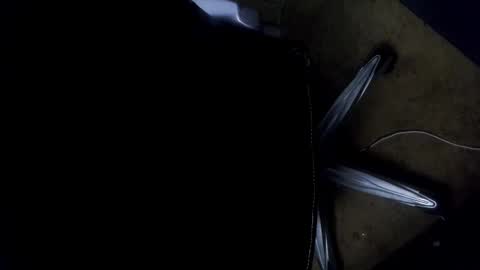 orgasmgiver9090 online show from 11.07.25