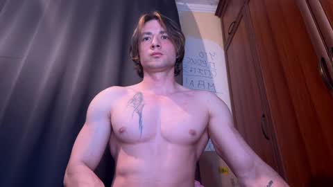 origamicat online show from 05.12.26