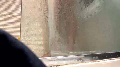 orn74 online show from 12.31.24