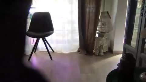 orn74 online show from 03.17.26