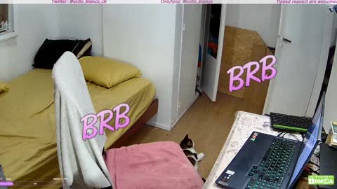 Osito Blanco online show from 01.30.25