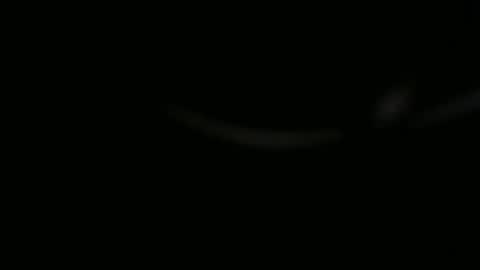 Ossi online show from 11.01.25