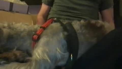 Snapshot of ossignol_xxx chatting on 01.16.25 rossignol online show from 01.16.25