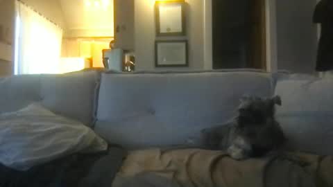 Snapshot of ossignol_xxx chatting on 02.27.25 rossignol online show from 02.27.25