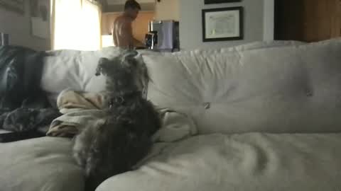 Snapshot of ossignol_xxx chatting on 09.13.25 rossignol online show from 09.13.25