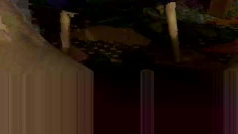 Oxo online show from 10.31.25